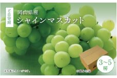 真庭市産 シャインマスカット 自宅用 3～5房 2kg / (2025年9月中旬以降発送予定) ぶどう 岡山 真庭 大粒 葡萄 果物 フルーツ ブドウ シャインマスカット 人気 数量限定 ご家庭用 皮ごと マスカット 産地直送 お買い得 新鮮 数量限定 岡山名産 定番【shinemuscat03】
