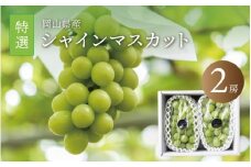 真庭市産 シャインマスカット 特選大房２房 / (2025年9月中旬以降発送予定) ぶどう 岡山 真庭 大粒 葡萄 シャインマスカット 果物 フルーツ ブドウ 人気 数量限定 皮ごと マスカット 産地直送 新鮮 数量限定 岡山名産 定番 ギフト 贈答用 【shine02】
