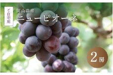真庭市産 ニューピオーネ 自宅用 2房 /  (2025年8月中旬以降発送予定) ぶどう 自宅用 訳あり 岡山 真庭 ピオーネ 真庭市 大粒 葡萄 果物 フルーツ 産地直送 新鮮 濃厚 ピオーネ 人気 数量限定 お買い得 岡山名産 スイーツ 種なし  【pione04】