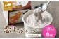 恋するジャージーチョコチップ 120ml 6個