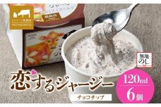 【ジェラート醍醐桜】【熨斗】恋するジャージーチョコチップ 6個セット / 岡山 真庭 醍醐桜 極上スイーツ 濃厚 プレゼント 贈答 デザート ギフト ジャージー牛 ミルク ジェラート おやつ チョコレート 子供から大人まで 冷凍 人気 贅沢 