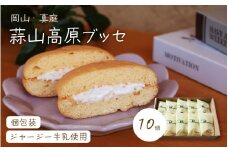 槙本風味堂 高原ブッセ10個入り / 岡山県 真庭 蒜山 高原 ジャージー牛乳 ふわふわ ブッセ 個包装 贈り物 スイーツ お菓子 ギフト プレゼント 【配送不可地域：北海道／沖縄県／離島】【makimoto05】