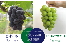 【きよとうファーム】 【定期便】 ピオーネとシャインマスカット 中2房の2回便！ 計2kg以上 （岡山県産） KF-T002-01 / ぶどう ブドウ 葡萄 シャインマスカット ピオーネ 先行予約 真庭市 