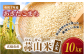 令和7年産 真庭市産 蒜山米（ひるぜんまい） あきたこまち 玄米 10kg