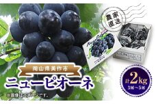 ニューピオーネ　2kg(3房～5房)【1074126】
