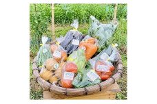 ラブラール美作　季節の新鮮野菜セット(約10種類)【1085248】