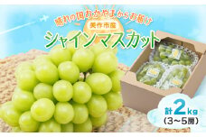 岡山県美作市産　シャインマスカット　2kg(3～5房)_シャインマスカット ぶどう 葡萄 ブドウ マスカット 人気 種なし 大粒 果物 くだもの フルーツ 岡山県 美作市 産直 産地直送 贈答 ギフト プレゼント 送料無料【1109316】