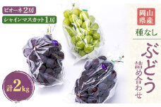 岡山県産のぶどう詰め合わせ2kg(シャインマスカット1房とピオーネ2房)【1112964】