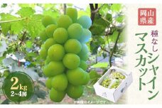 岡山県産シャインマスカット2kg(2～4房)【1112965】