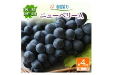 朝採りニューベリーA　4kg【1117970】