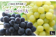 朝採りシャインマスカット・ニューベリーA　1kg(1房ずつ)【1142637】