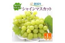 朝採りシャインマスカット　1kg(1房～2房)【1142640】