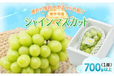 岡山県美作市産　シャインマスカット　1房(700g以上)_ シャインマスカット ぶとう マスカット ブドウ 葡萄 果物 くだもの フルーツ デザート 岡山県 産地直送 産直 贈答 ギフト プレゼント 送料無料 【1142181】