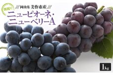朝採りニューピオーネ&ニューベリーA　1kg【1142639】