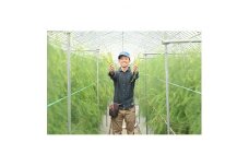 岡山県産　朝採れアスパラガス　1キロ【1143586】