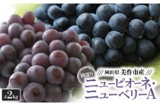 朝採りニューピオーネ&ニューベリーA　計2kg【1117972】