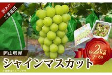 ＜訳あり＞岡山県産シャインマスカット(ご家庭用)約2kg【1321280】