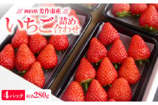 岡山県美作市産　いちご詰合せ(約280g×4パック)【1073695】