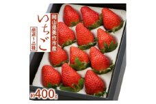 岡山県美作市産　厳選1品種いちご(約400g)【1073696】