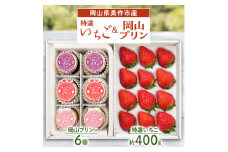 岡山県美作市産　特選いちご&岡山プリン詰合せ(いちご約400g、プリン6個)【1073698】