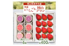 岡山県美作市産　特選いちご&岡山プリン詰合せ(いちご約400g、プリン6個)【1073698】