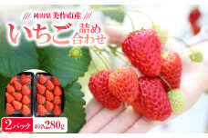 ＜2025年4月発送開始＞岡山県美作市産　いちご詰合せ(約280g×2パック)【1130056】