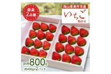 岡山県美作市産　厳選2品種いちご詰合せ(約400g×2パック)【1073697】