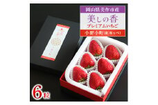 岡山県美作市産　プレミアムいちご＜美しの香/小野小町(紅ほっぺ)＞6粒入【1360740】