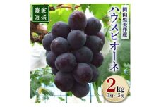 8月上旬出荷　ハウスピオーネ　2kg(3房～5房入り)【1107315】
