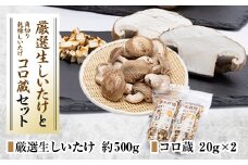 厳選しいたけ約500gとコロ蔵2個セット【1154813】