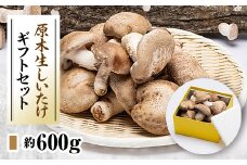 原木生しいたけギフトセット【1154810】