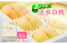＜2025年先行受付＞＜岡山県産＞清水白桃 約1.5kg(4～6玉)【1415011】