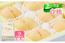 岡山県産白桃　約2kg(6～8玉)【1415014】
