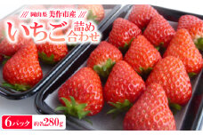＜2025年4月発送開始＞岡山県美作市産　いちご詰合せ(約280g×6パック)【1454782】