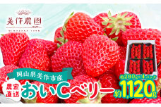岡山県美作市産　おいCベリー(約280g×4パック)【1464411】