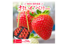 ＜2025年4月発送開始＞岡山県美作市産　おいCベリー(約280g×2パック)【1464410】