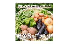 ＜畑から直送＞味覚を育む旬の野菜約8種と自然卵10コ入り【1483988】