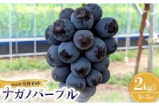 ナガノパープル　2kg(3房～5房)【1492741】