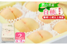 ＜2025年先行受付＞＜糖度12度以上保証＞岡山県産白桃　約2kg(6～8玉)(贈答用)【1507936】