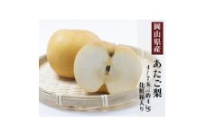 岡山県産 あたご梨 4～7玉(約4kg) 化粧箱入り【1505634】
