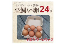 ＜朝採り＞季節の平飼い卵有精卵6個入り×4パック【1487838】