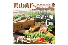 岡山美作の赤土台地でじっくり育てた季節の野菜約8種類と平飼い卵(6個入り)のセットです。【1530200】