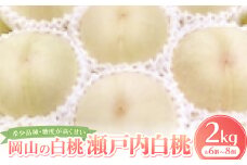 ＜先行予約・2025年8月下旬~9月上旬頃発送予定＞希少品種・岡山の白桃・瀬戸内白桃(2kg箱)【1536160】