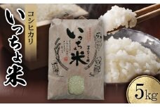 コシヒカリ　いっちょ米(5kg×1袋)【1536092】