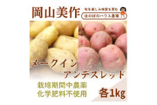 岡山県美作産じゃがいも食べ比べセット(アンデスレッド&メークイン)　各1kg【1524206】