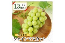 美作市産シャインマスカット2房　1.3kg以上【1147829】