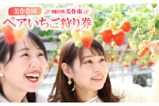 美作農園　ペアいちご狩り券【1576204】