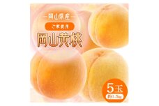 岡山黄桃　5玉　＜ご家庭用＞1.5キロ【1601436】