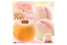 岡山白桃4玉・黄桃セット2玉　食べ比べセット【1601447】