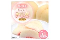 岡山県産おかやま夢白桃5玉＜ロイヤル＞【1601409】